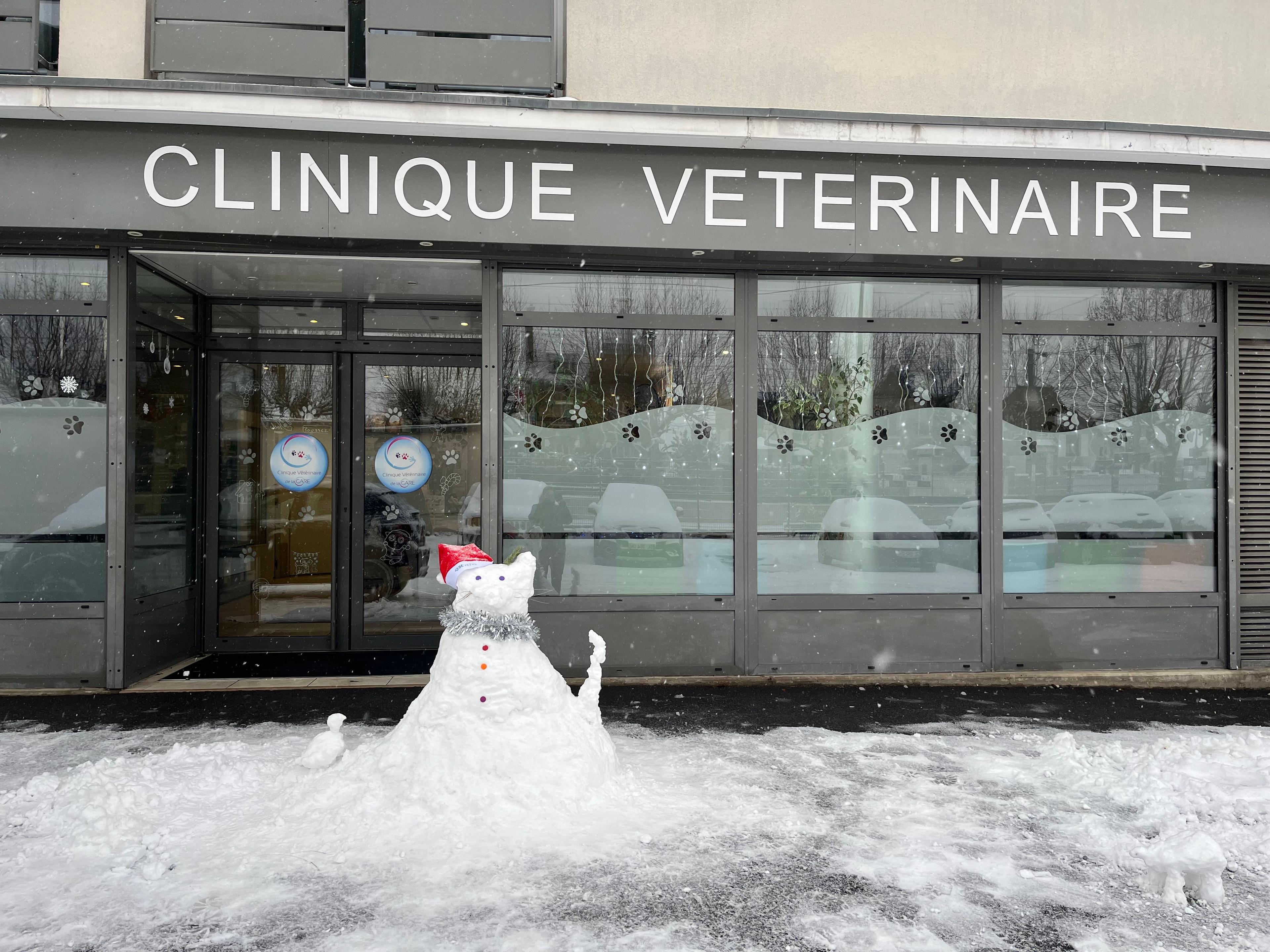 Photo Clinique vétérinaire de la Gare - Taverny - 2
