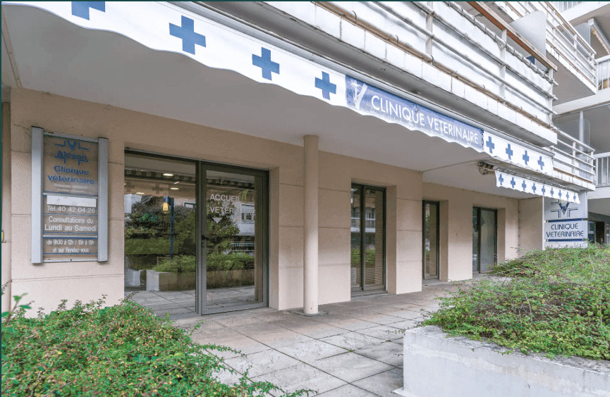 image de Clinique vétérinaire Les Palmiers - La Baule