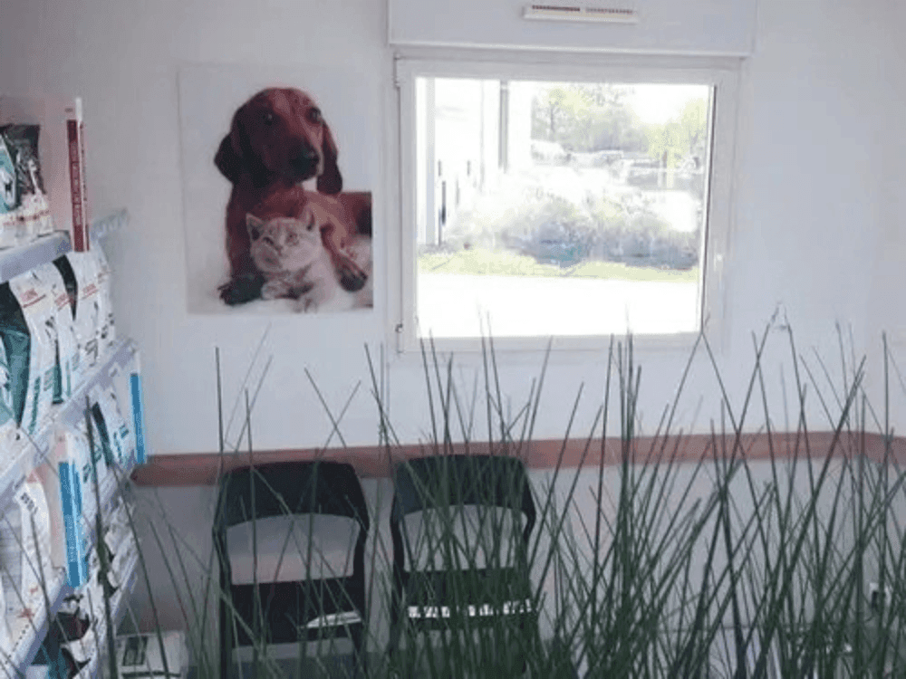 Photo Clinique vétérinaire Des Sinagots - Séné - 2