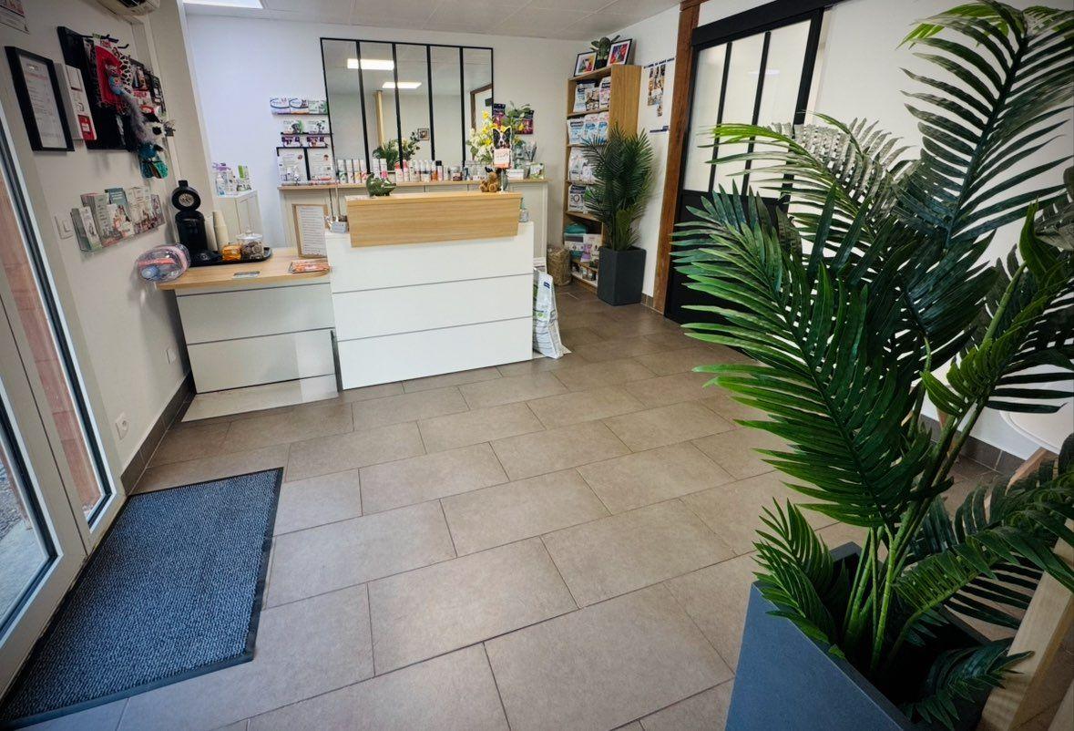 Photo Clinique vétérinaire de Verrières-le-Buisson - 2