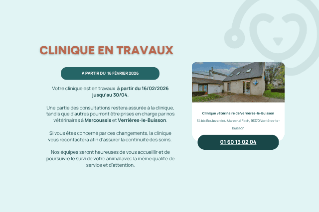 image de Clinique vétérinaire Advet - Longjumeau