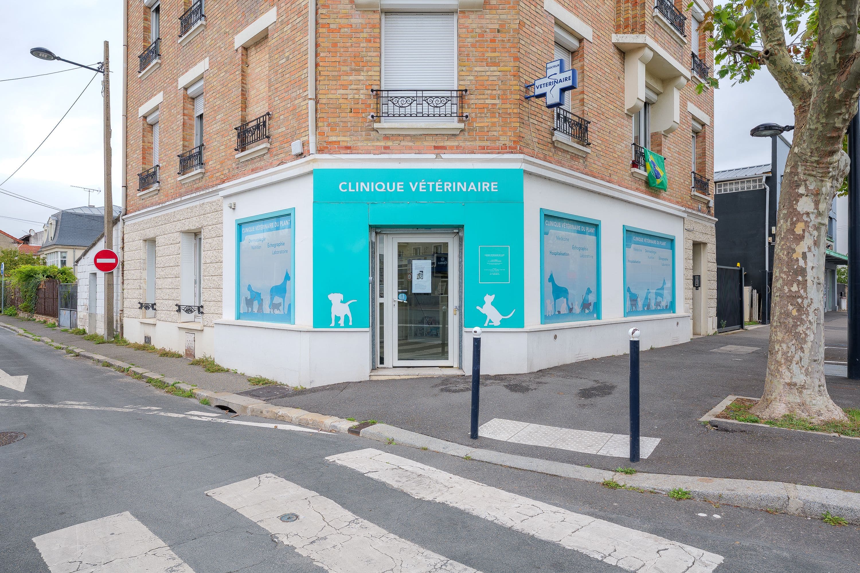 Photo Clinique vétérinaire du Plant - Champigny-sur-Marne - 1