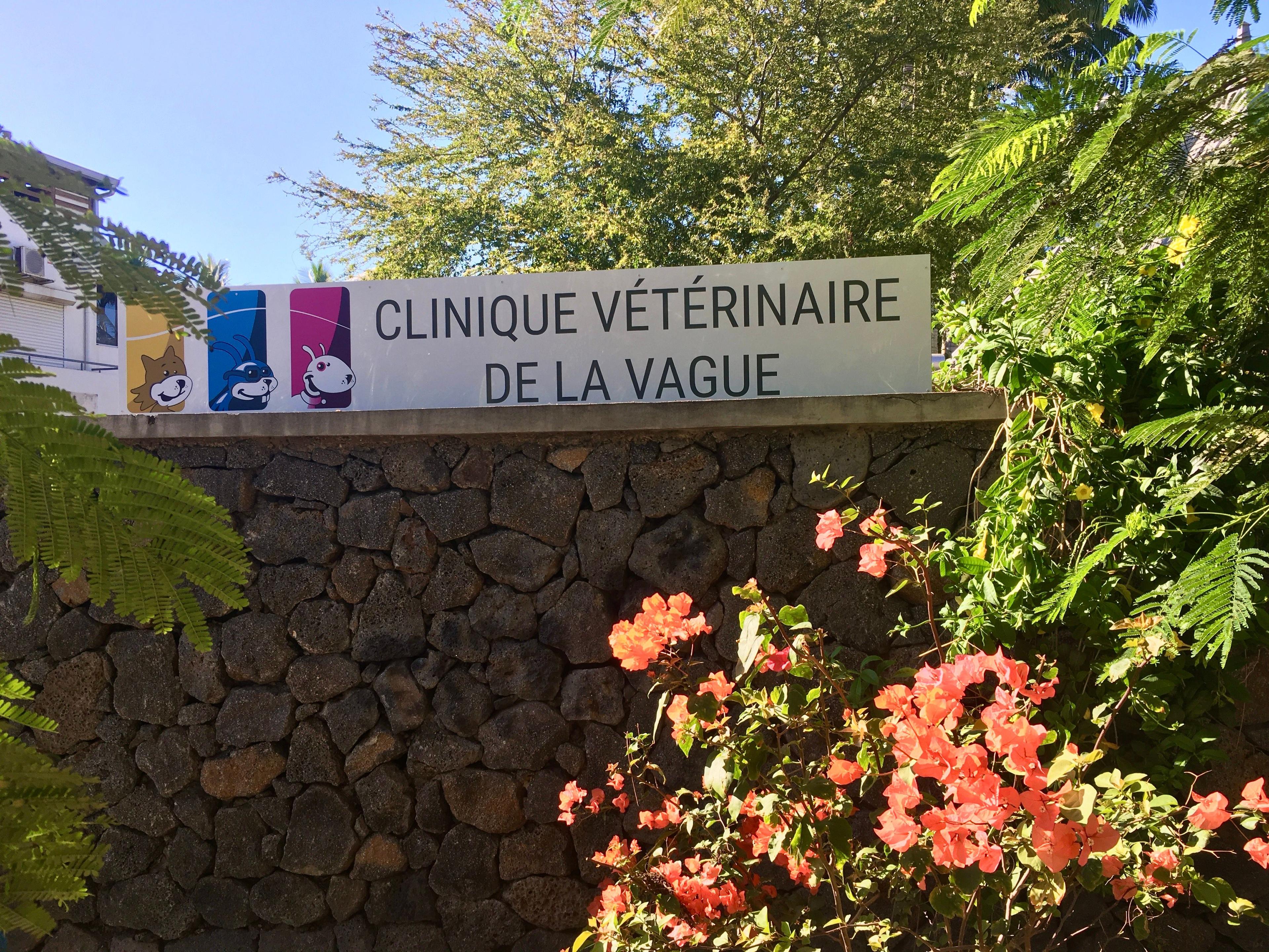 Photo Clinique vétérinaire de la Vague - Saint-Leu - 2