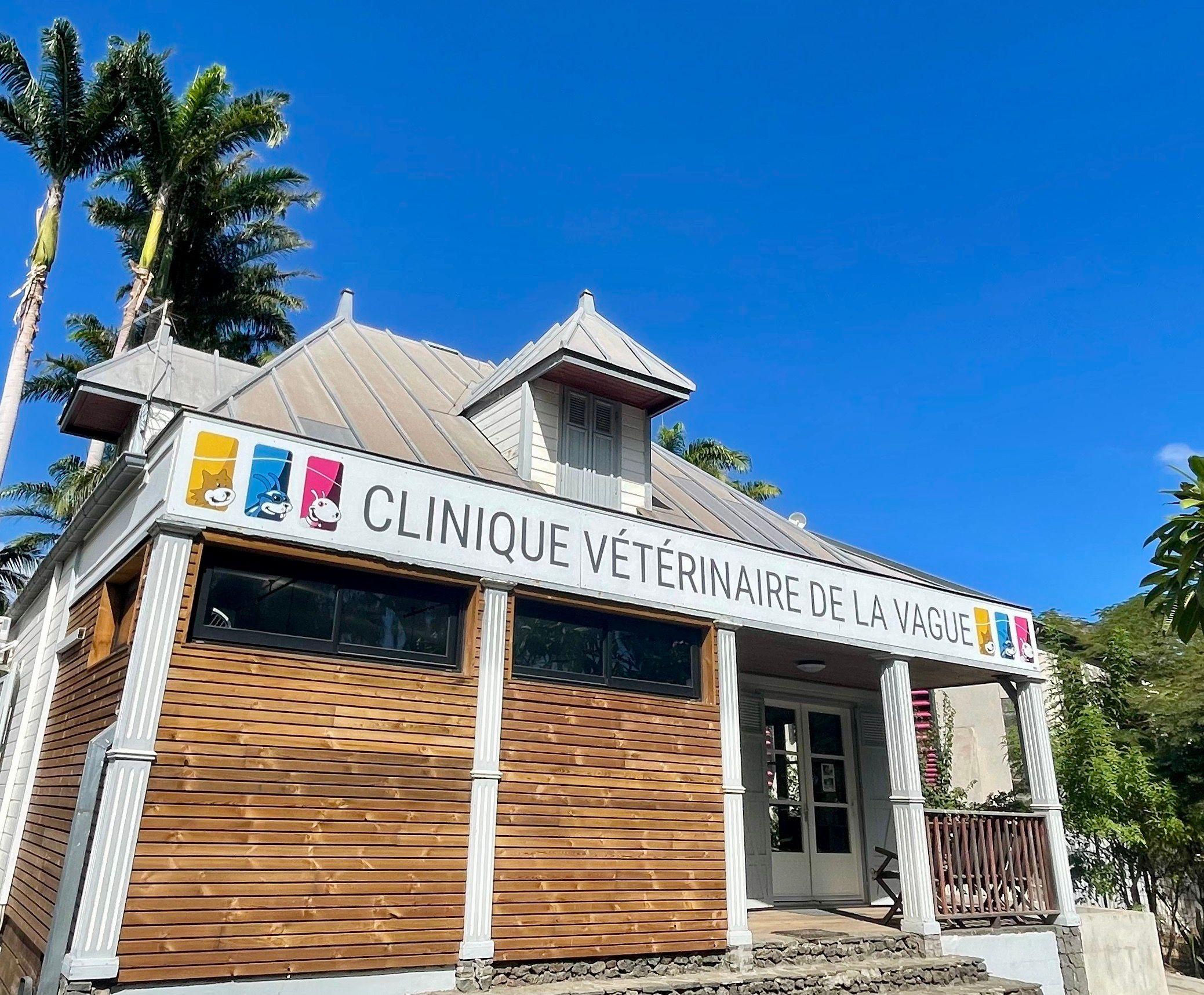 image de Clinique vétérinaire de la Vague - Saint-Leu