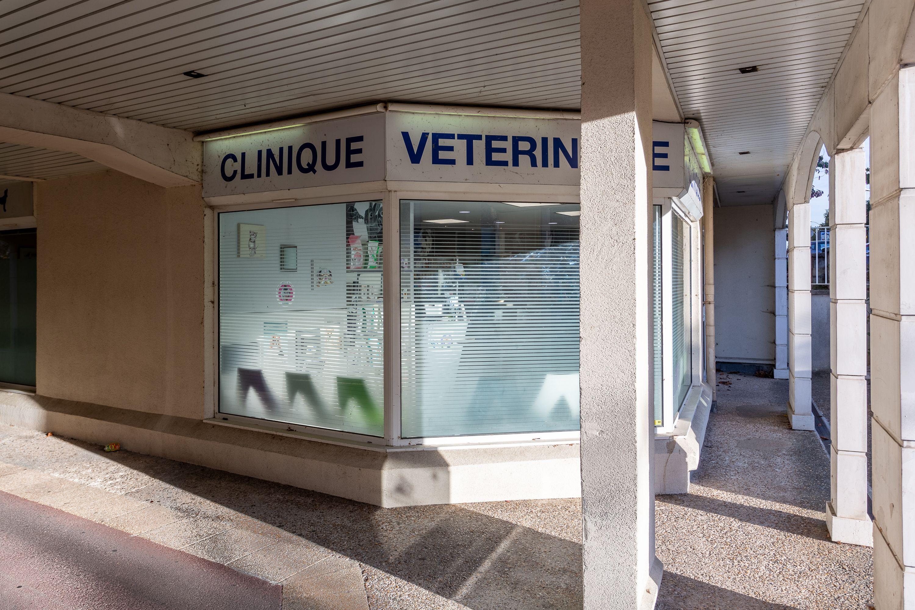 Photo Clinique vétérinaire de la Vallée - Ermont - 1