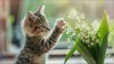 Toxicité muguet chien et chat 