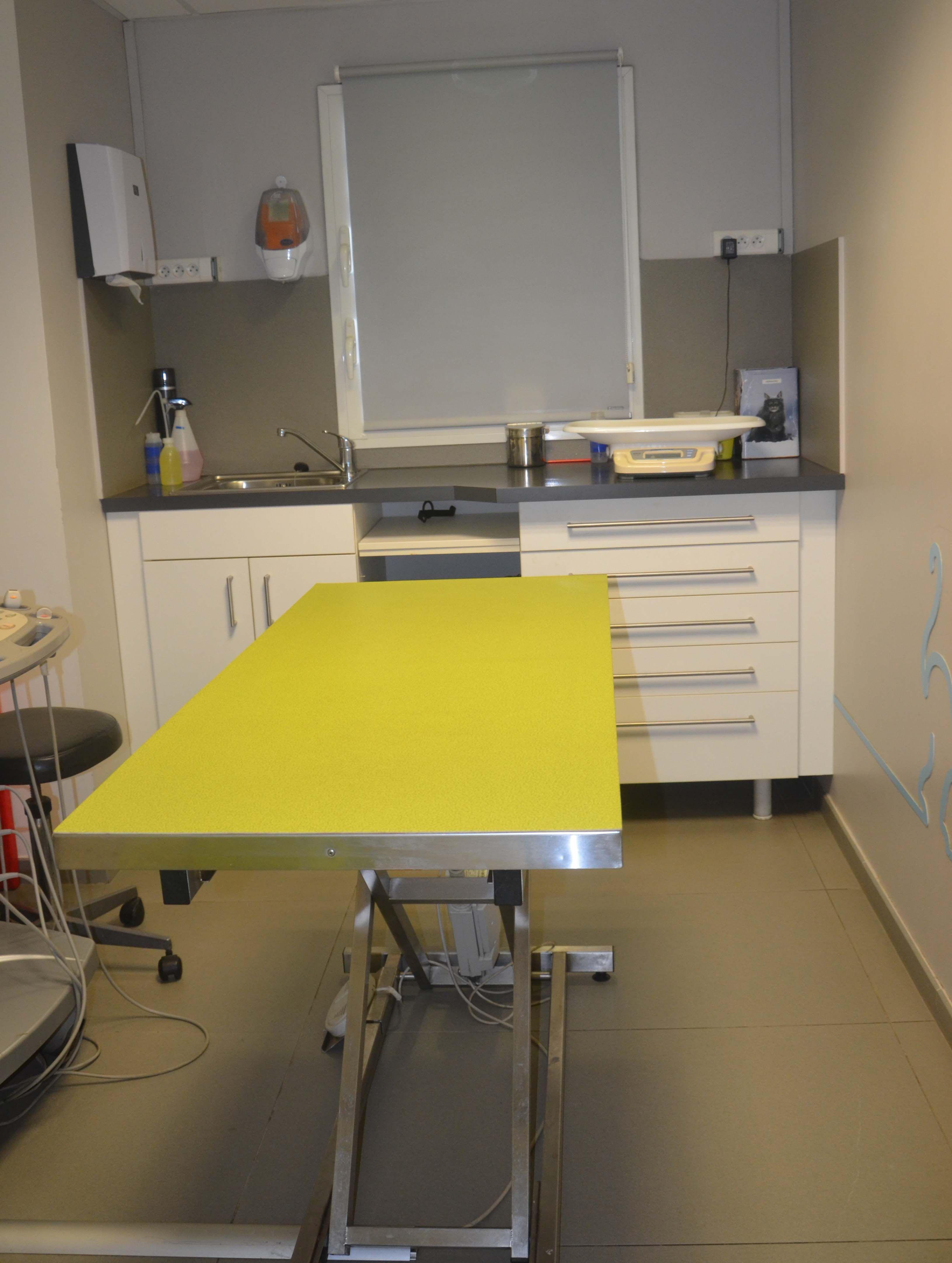 Photo Clinique vétérinaire du Front de Mer - Saint-Paul - 2