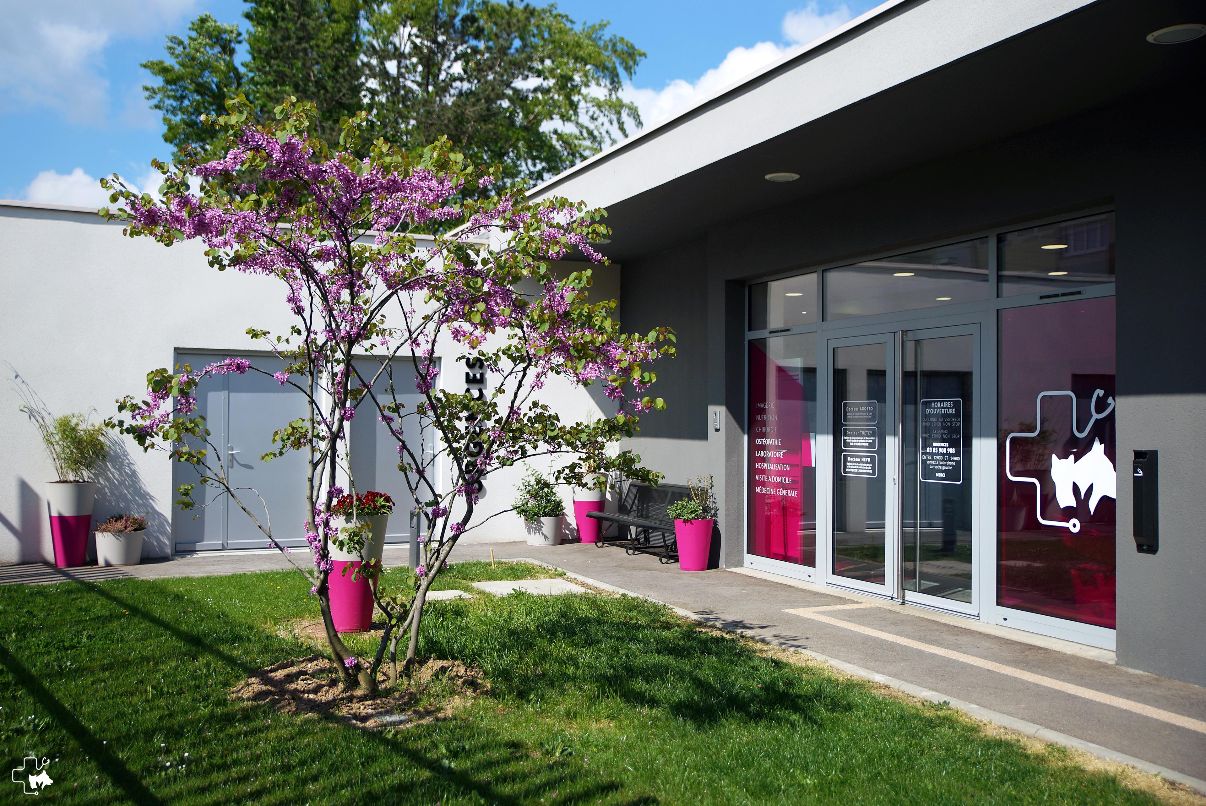 Photo Clinique Vétérinaire de La Rocade -Chalon-sur-Saone - 1