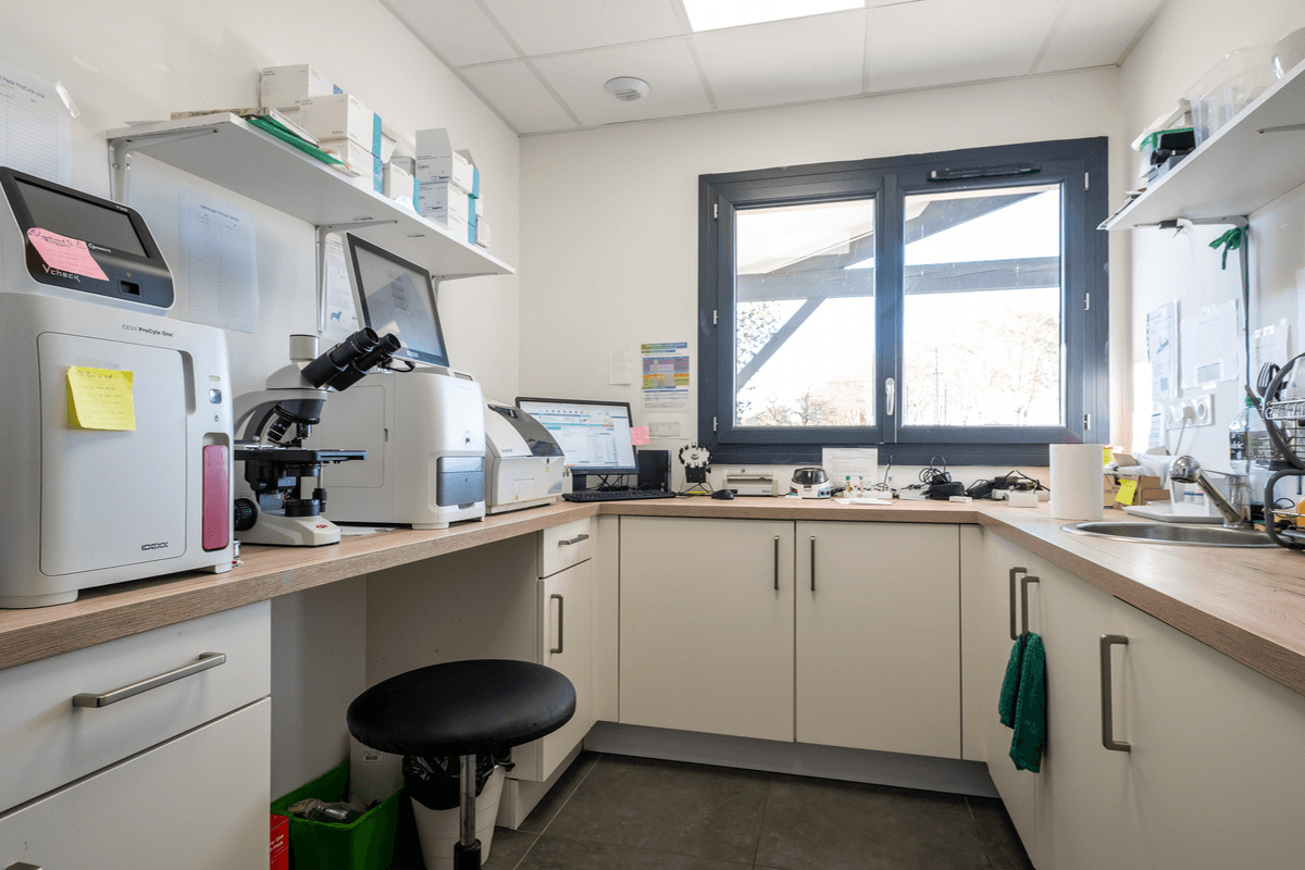 Photo Clinique vétérinaire de Montesquieu-Volvestre - 2