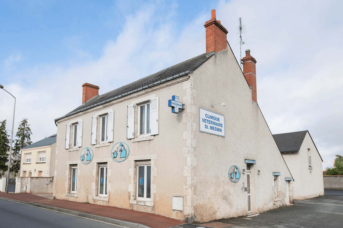 image de Clinique vétérinaire de La Chapelle Saint-Mesmin