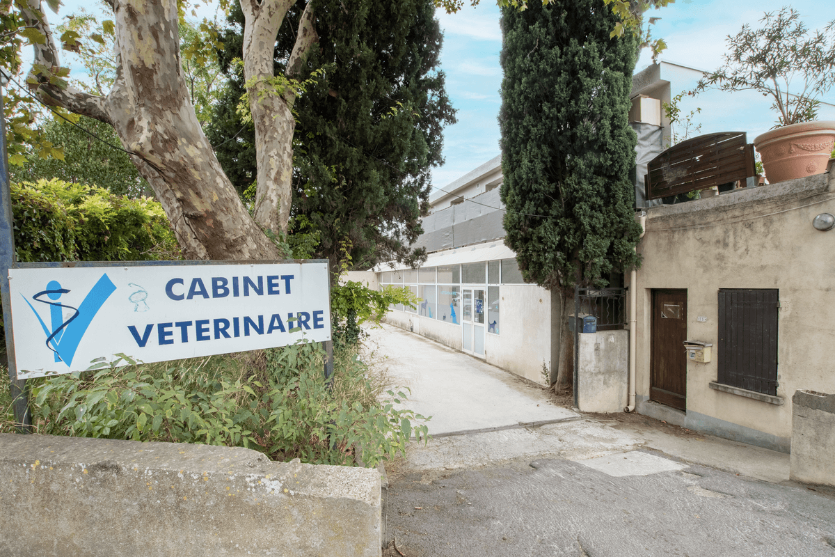 Photo Cabinet vétérinaire de Saint Fructueux - Lunel - 1