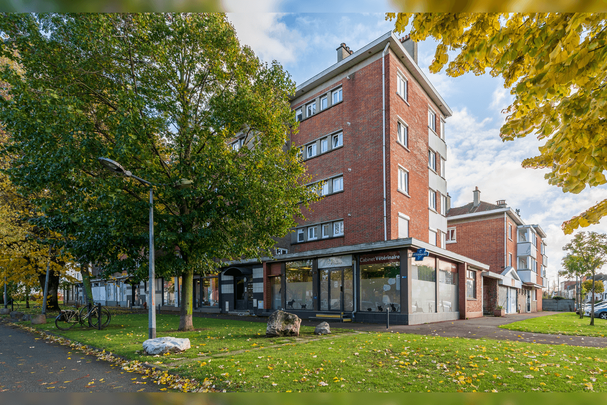 Photo Clinique Vétérinaire de la Porte du Quesne - Marcq-en-Baroeul  - 3