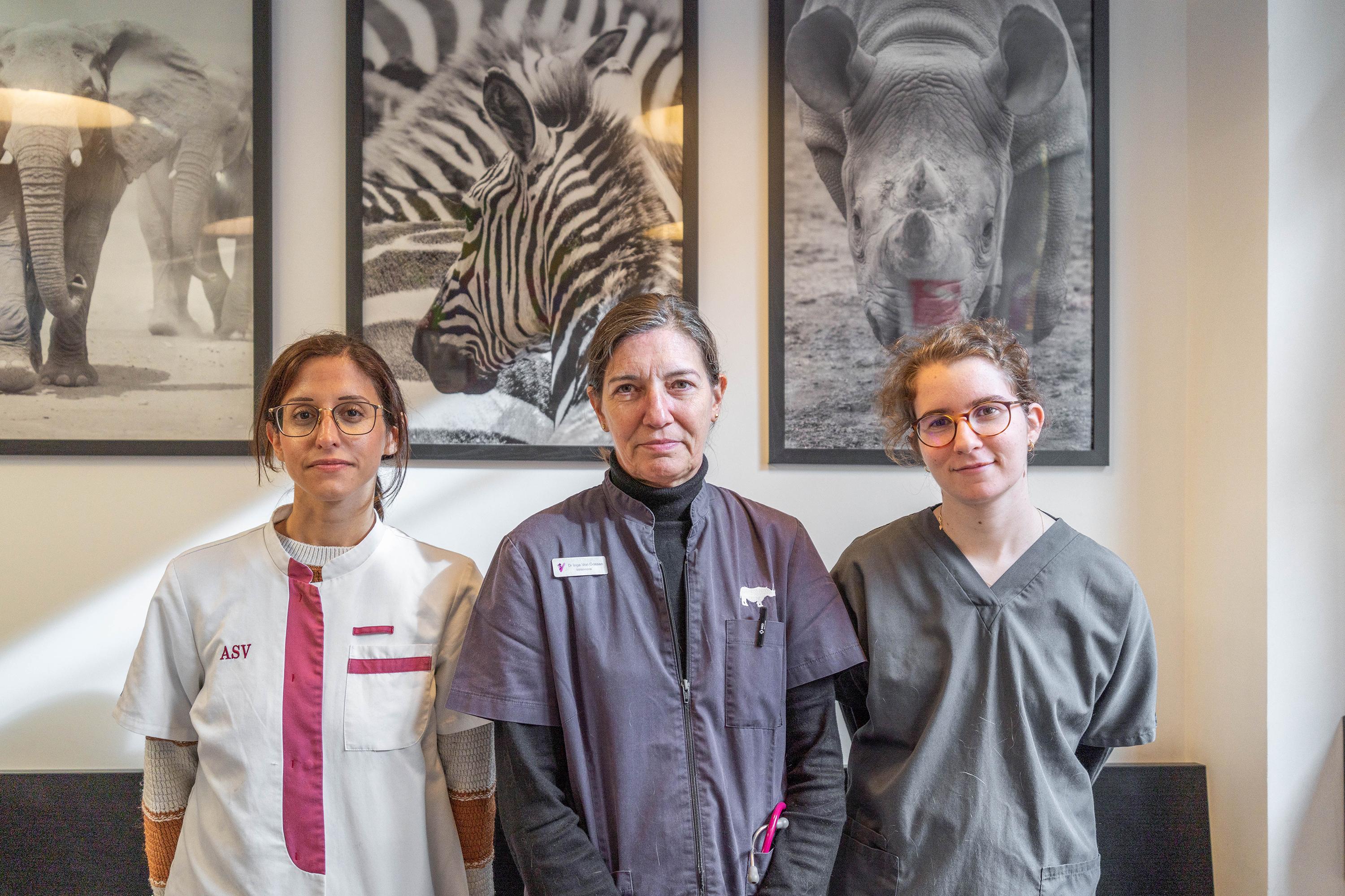 Photo Clinique vétérinaire d'Asnières-sur-Seine - 1