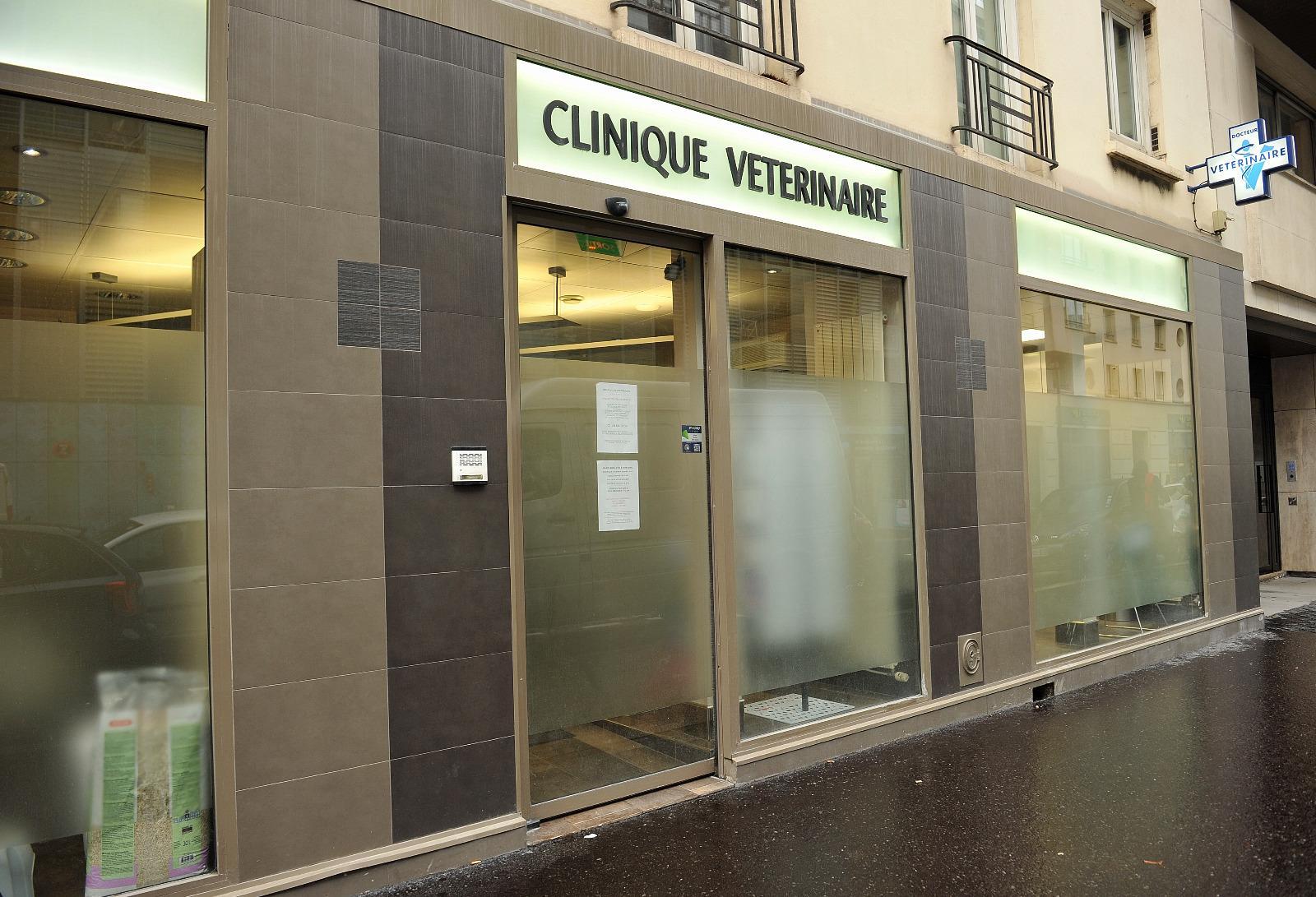 image de Clinique vétérinaire Frémicourt Paris