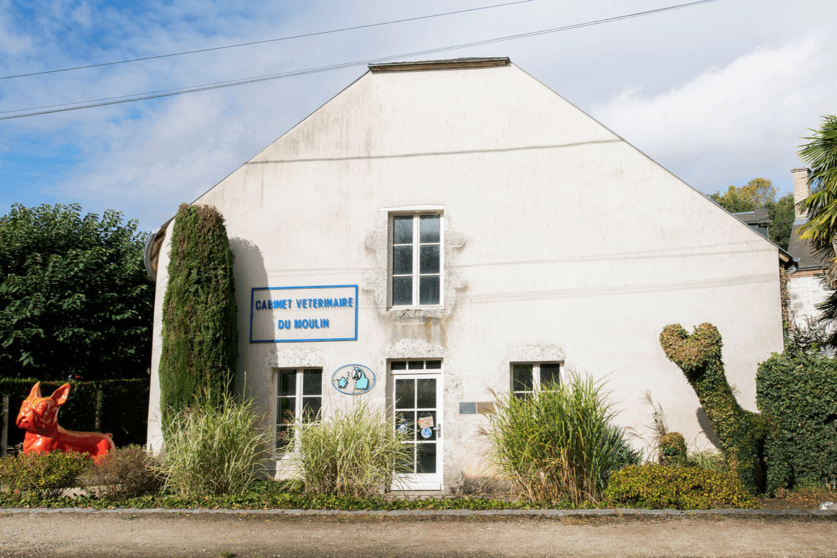 Photo Cabinet vétérinaire du Moulin - Saint-Ay - 1