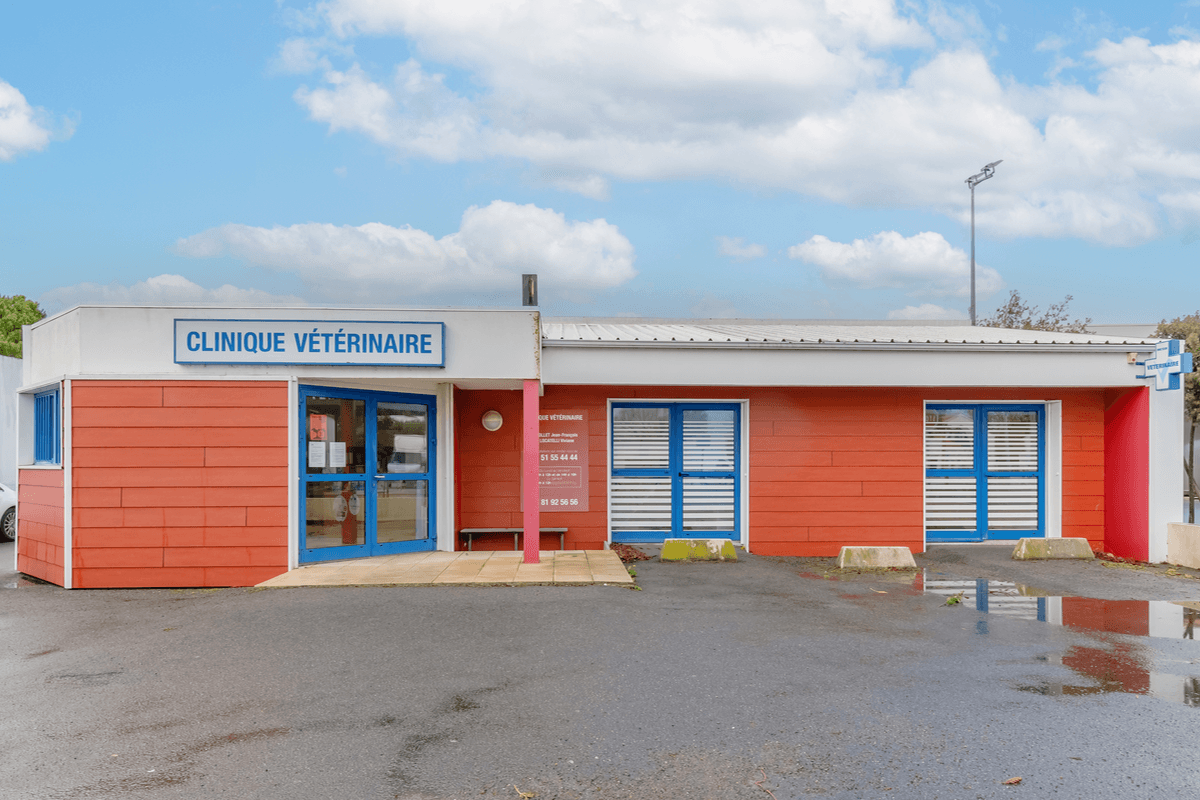 image de Clinique Vétérinaire du vent d'Ouest - Saint Hilaire de Riez