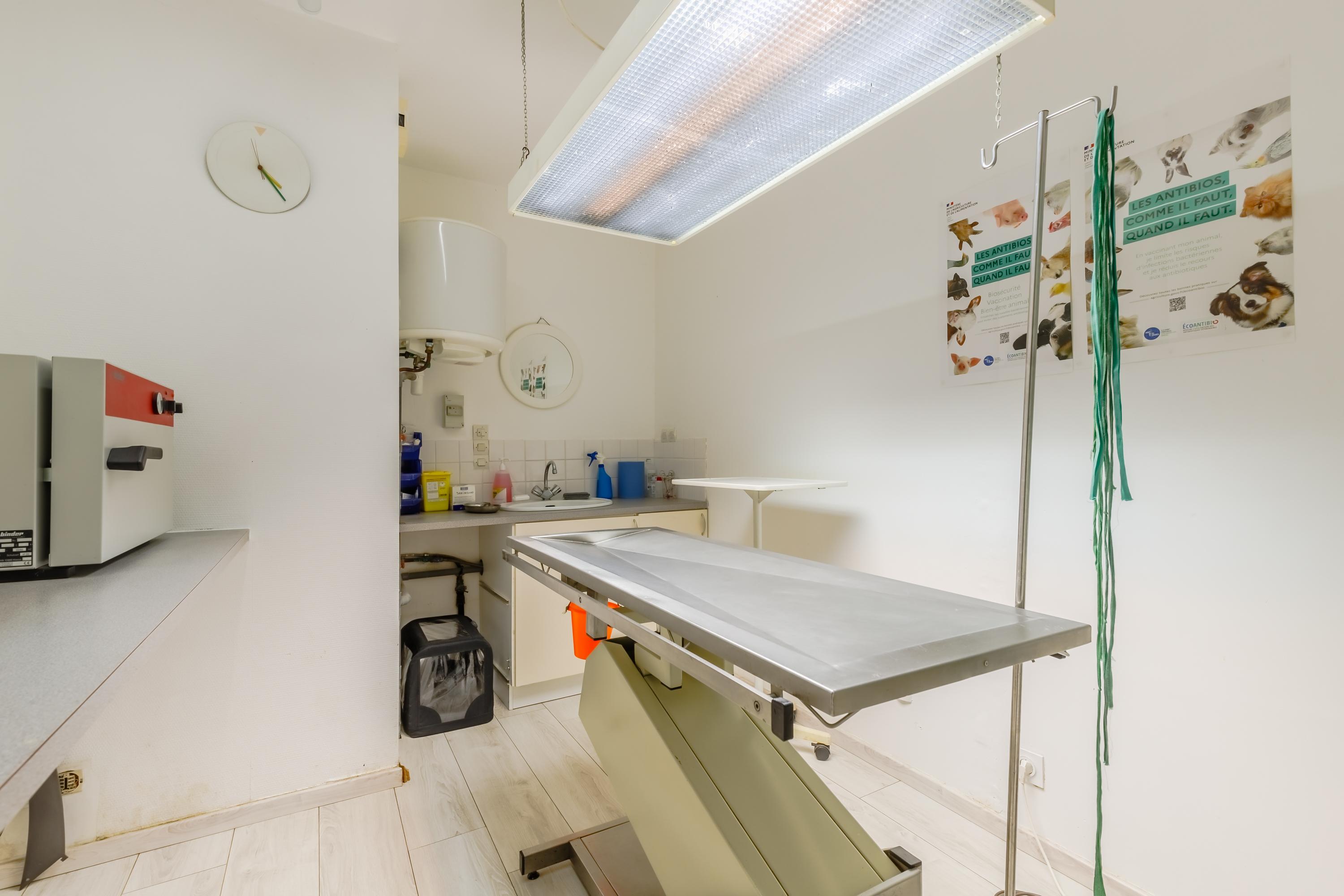 Photo Clinique Vétérinaire des Mille Pattes - Bretignolles-sur-Mer - 3
