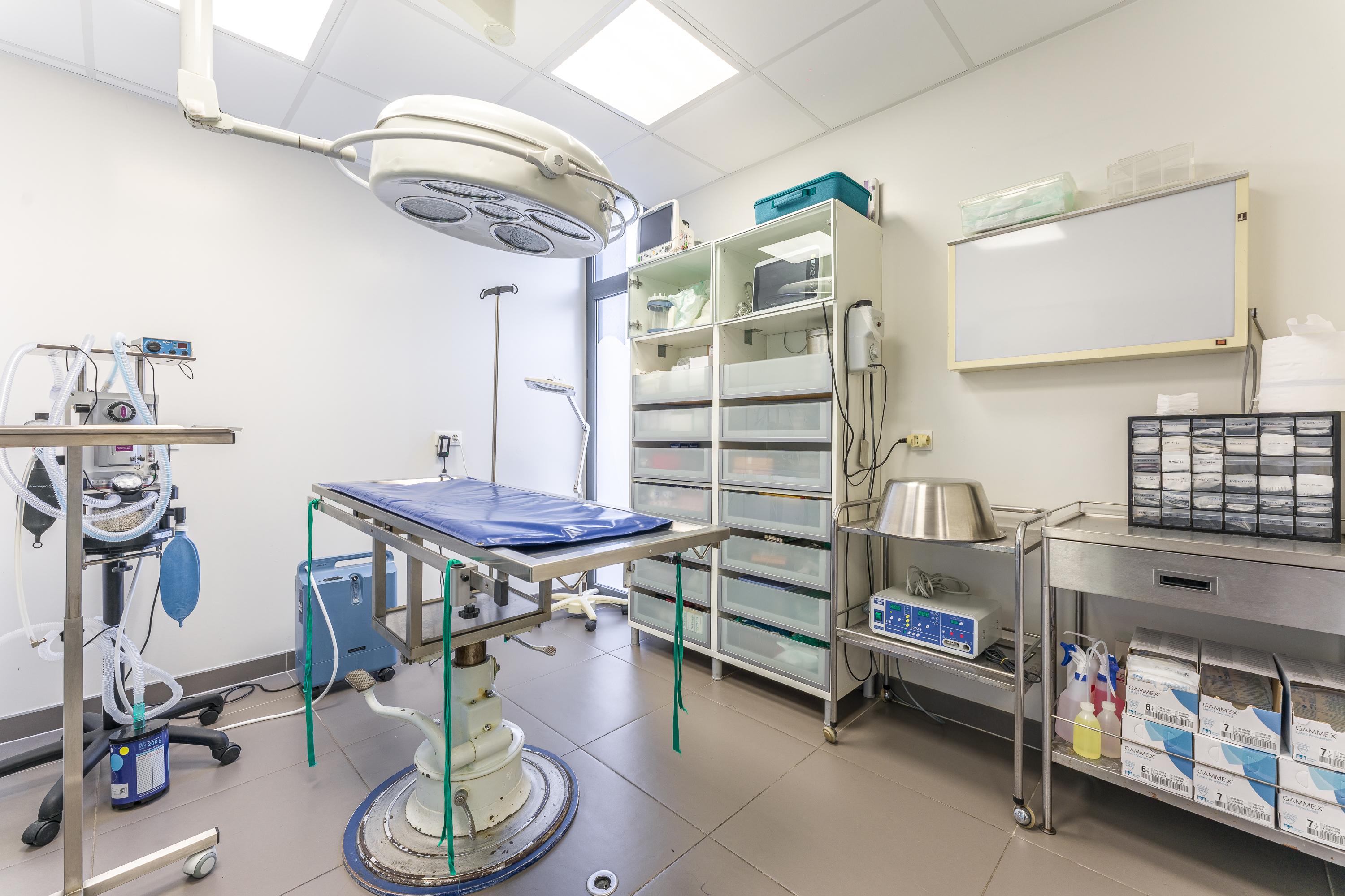 Photo Clinique vétérinaire des Acacias - Guerande - 2