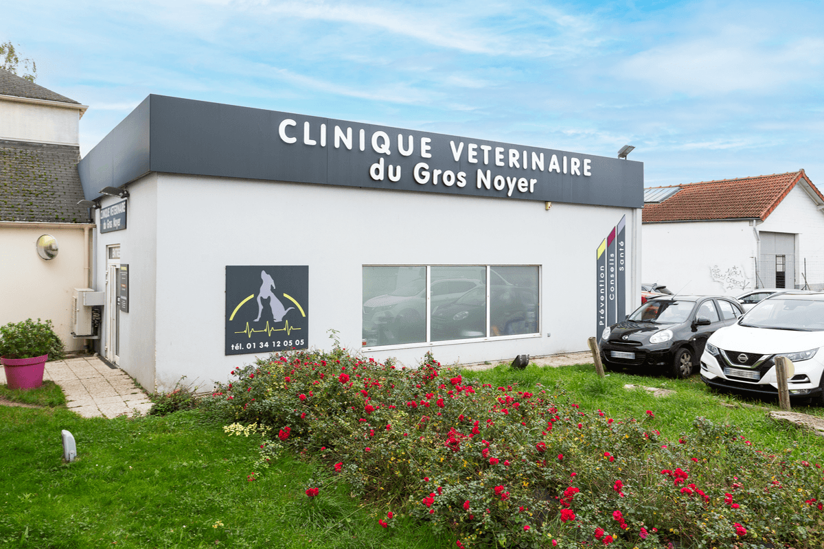 image de Clinique vétérinaire du Gros-Noyer - Saint-Prix