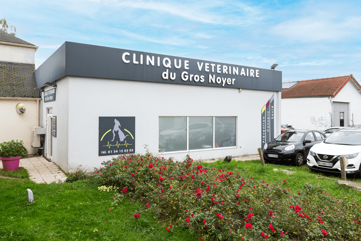 Photo Clinique vétérinaire du Gros-Noyer - Saint-Prix - 1