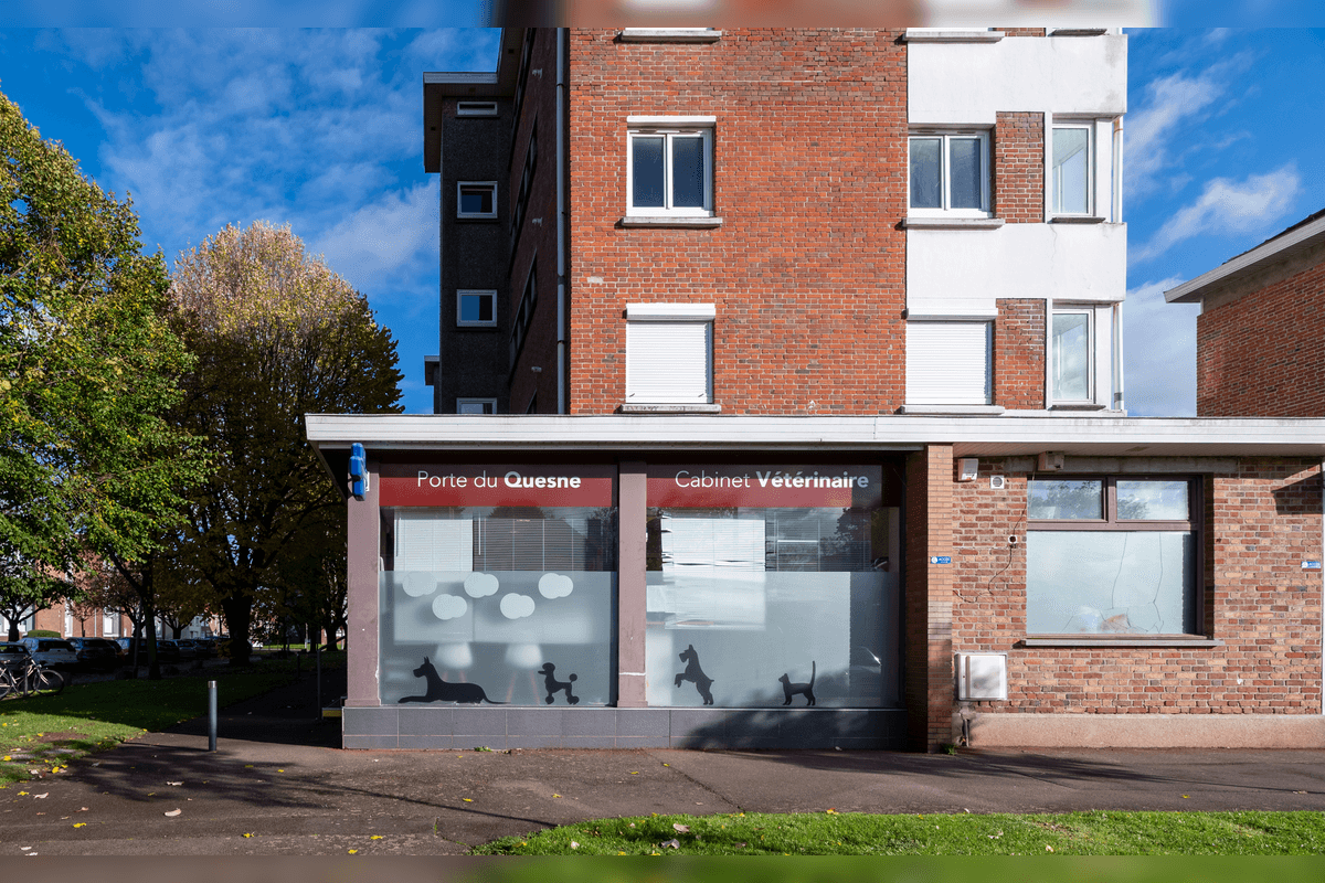 Photo Clinique Vétérinaire de la Porte du Quesne - Marcq-en-Baroeul  - 1