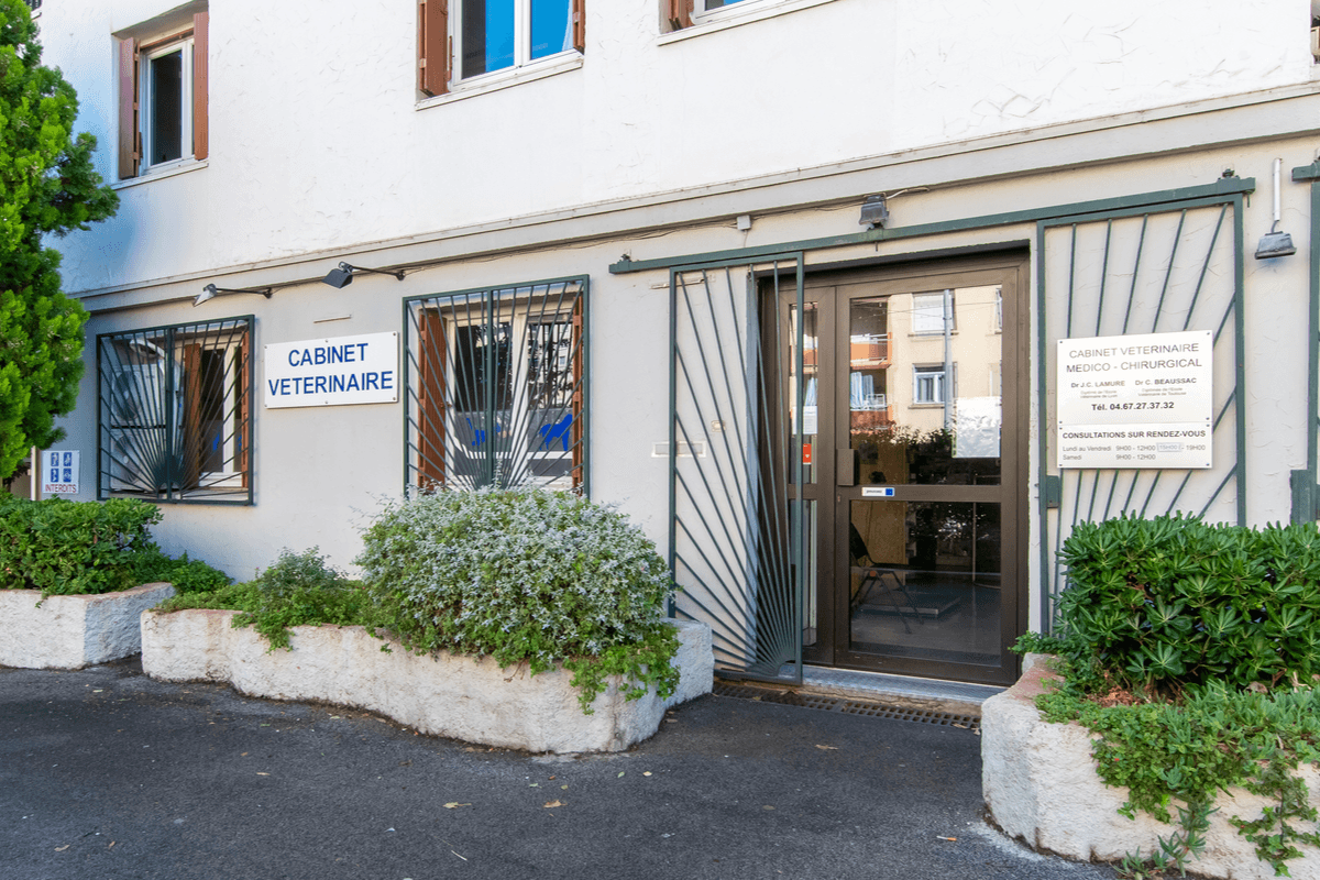 Photo Clinique vétérinaire Villeneuve d'Angoulême de Montpellier - 1