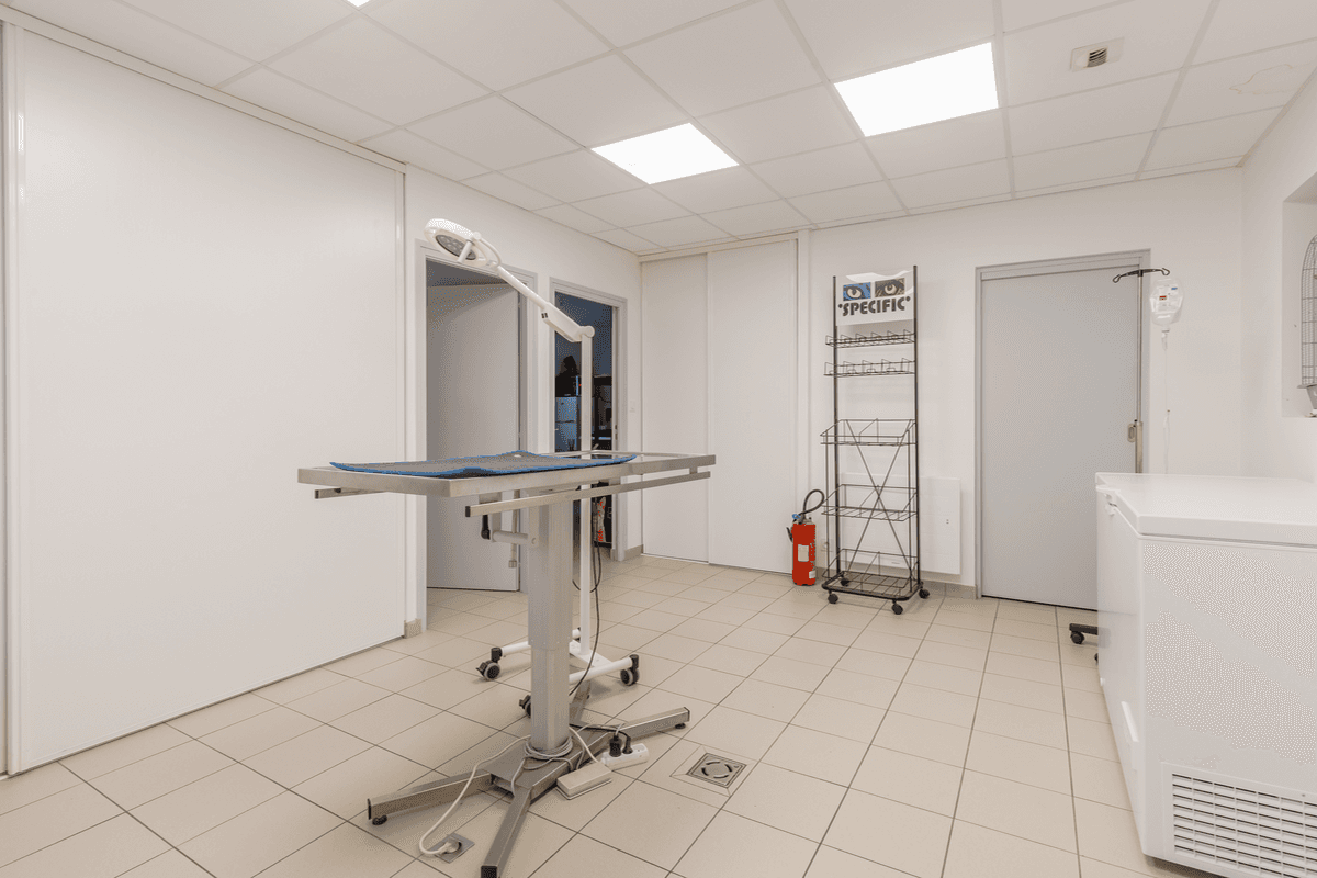 Photo Clinique Vétérinaire du vent d'Ouest - Saint Hilaire de Riez - 3