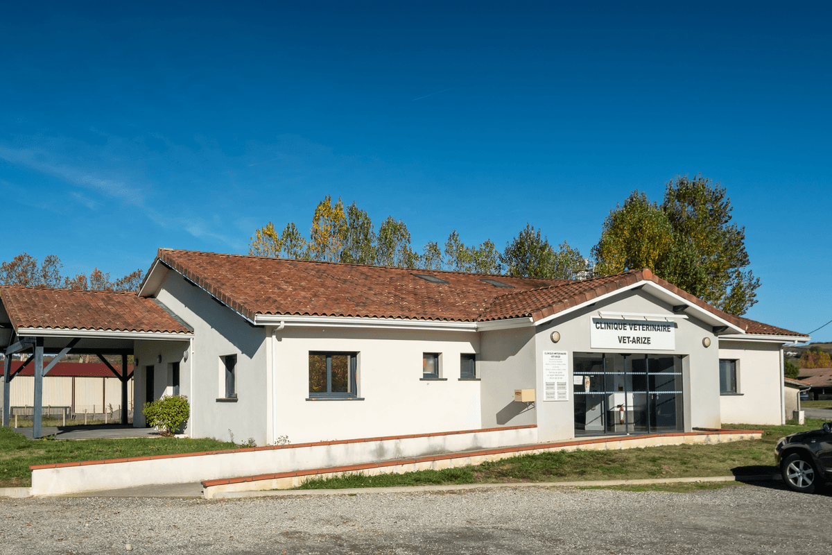 image de Clinique vétérinaire de Montesquieu-Volvestre