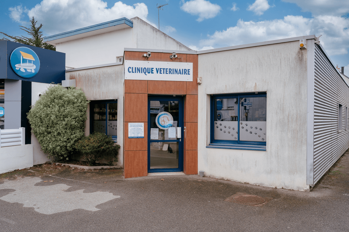 Photo Clinique vétérinaire de la Presqu'île - Quiberon - 1