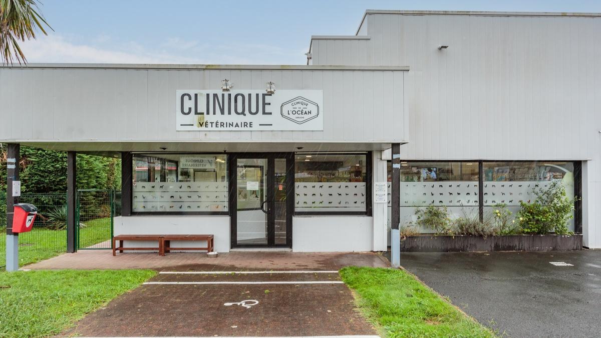 image de Clinique vétérinaire de l'Océan - Urrugne