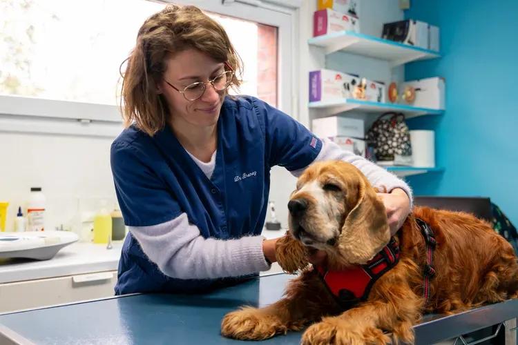 Médecine préventive vétérinaire