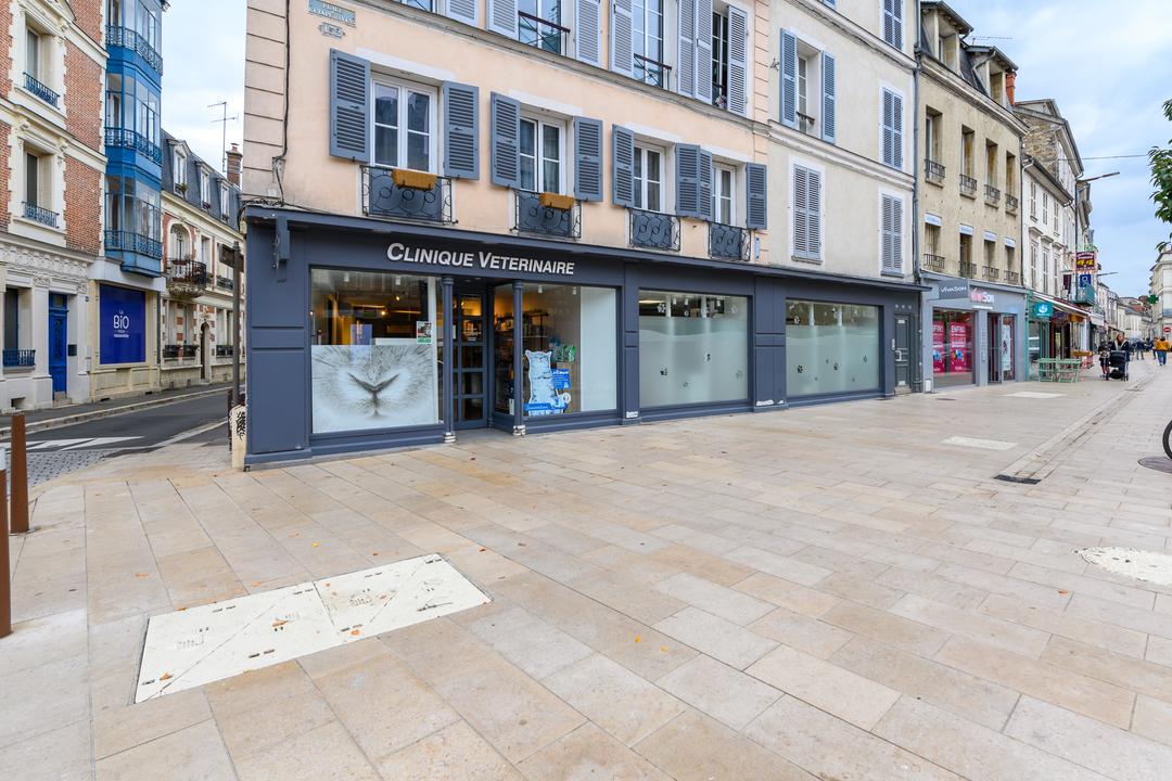 Clinique V t rinaire De La For t Avon 77210 Sevetys Clinique V t rinaire De La For t Avon 77210 Sevetys