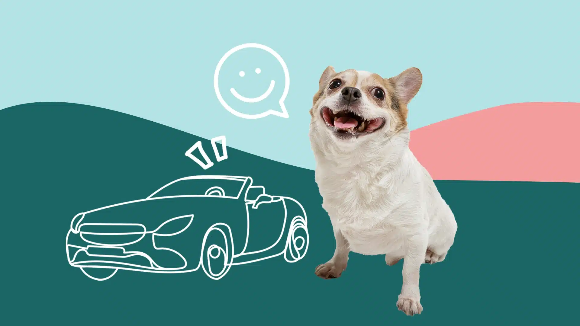 Ceinture de sécurité pour chien utile en voiture - Vêt'chien