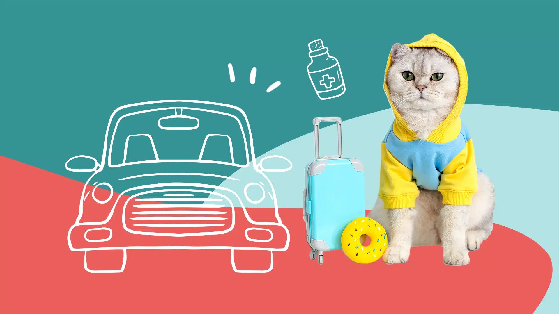 Transporter son chat en voiture : les conseils clés