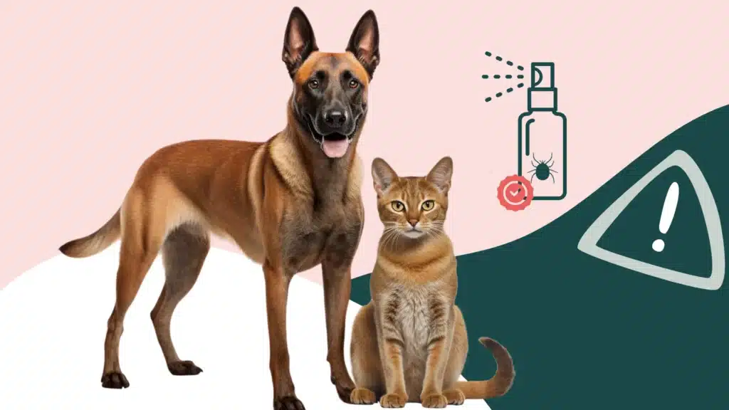 antiparasitaires chiens et chats