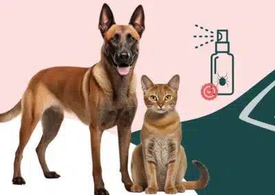 Les antiparasitaires pour chien et chat : protégez votre animal