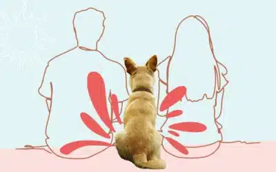 Quelles sont les maladies du chien transmissibles à l’homme ?