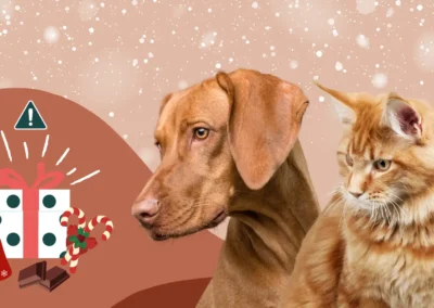 Noël : dangers, conseils et prévention pour votre chien et votre chat 