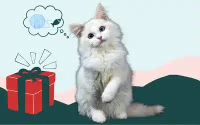 Top 10 des cadeaux de Noël pour chat : notre sélection vétérinaire